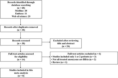 Willis covered stent treatment for blood blister-like aneurysm: A meta-analysis of efficacy and safety